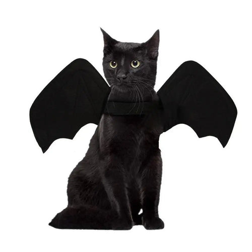 Harnais ailes de chauve-souris – Chat et chien | MonPluto