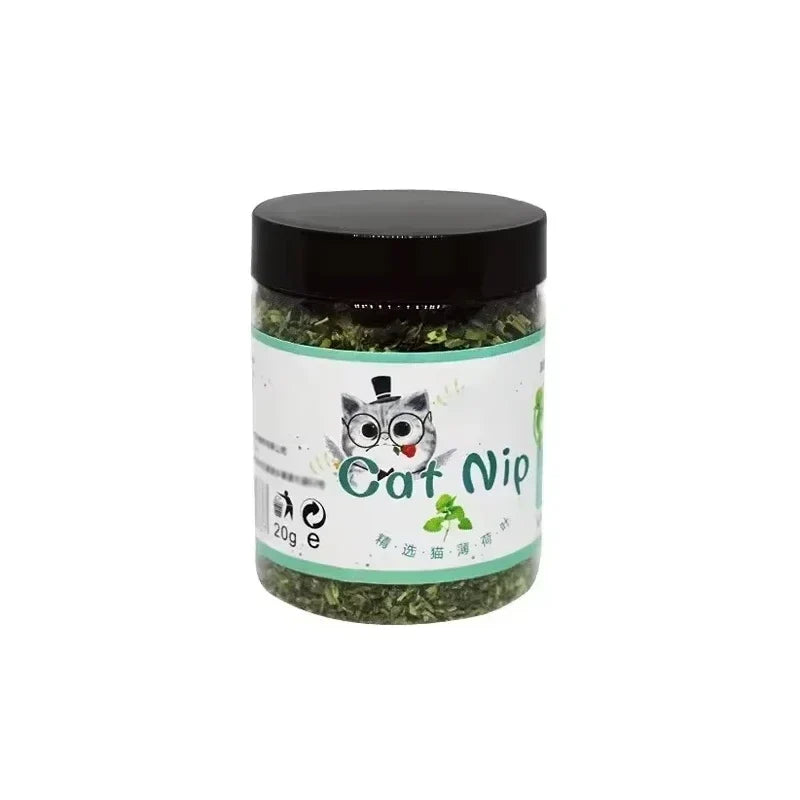 Herbe à chat (cataire) : effets, bon dosage et bonnes idées