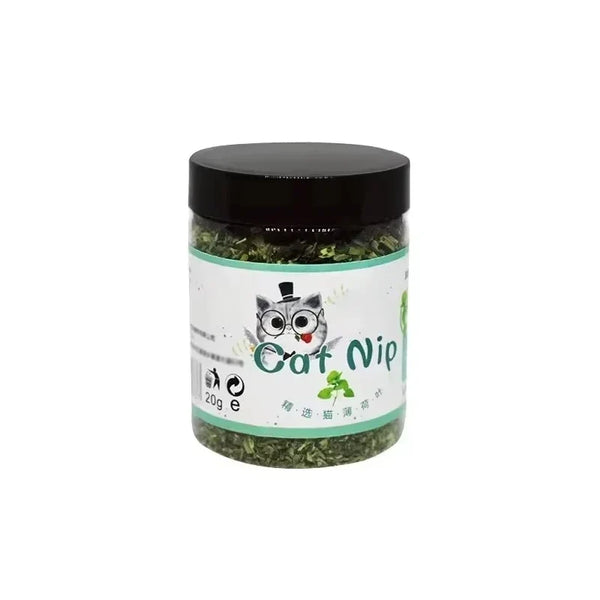 Herbe à chat (cataire) : effets, bon dosage et bonnes idées