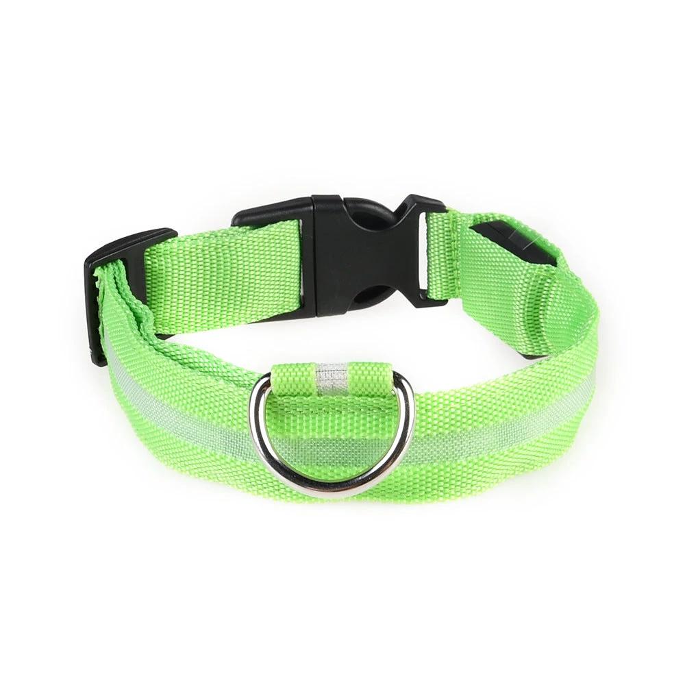 Collier LED Pour Chiens Et Chats – Haute Visibilité Nocturne