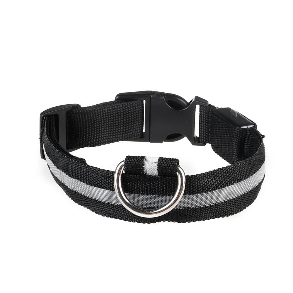 Collier LED Pour Chiens Et Chats – Haute Visibilité Nocturne