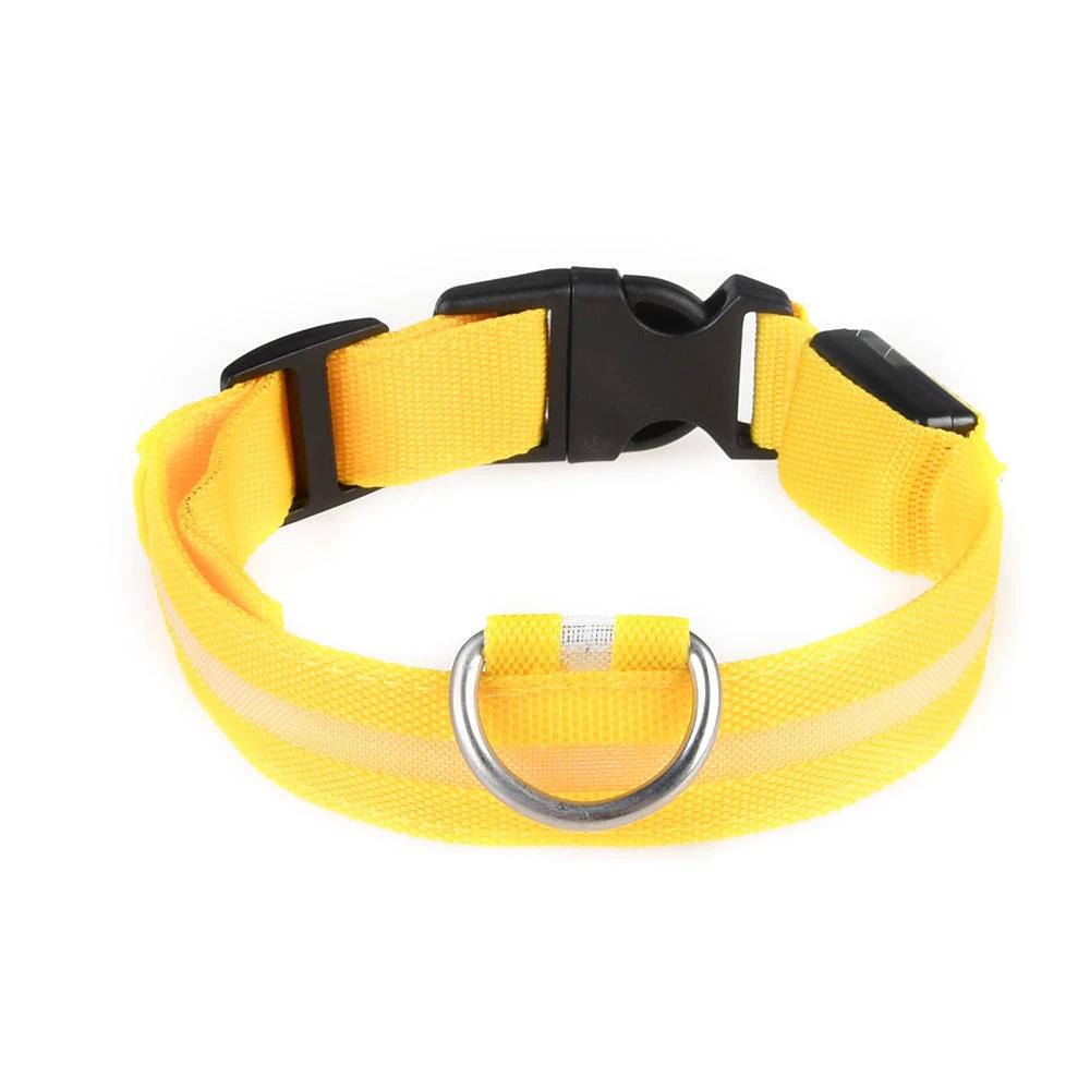 Collier LED Pour Chiens Et Chats – Haute Visibilité Nocturne