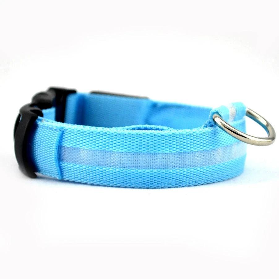 Collier LED Pour Chiens Et Chats – Haute Visibilité Nocturne