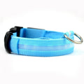 Collier LED Pour Chiens Et Chats – Haute Visibilité Nocturne