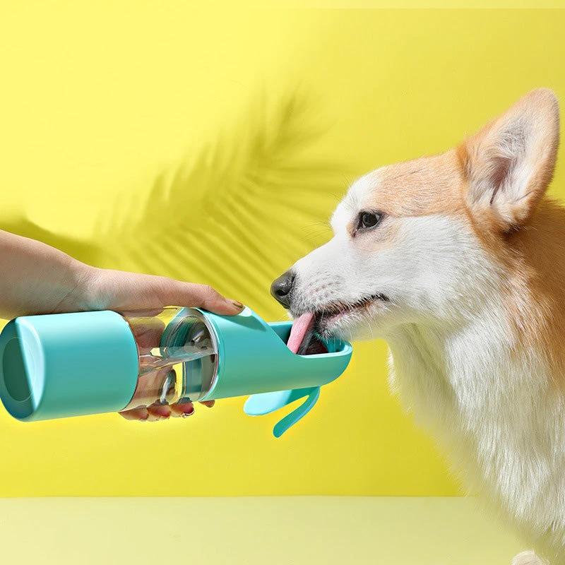 Gourde de voyage 2 en 1 pour chien et chat – Abreuvoir portable