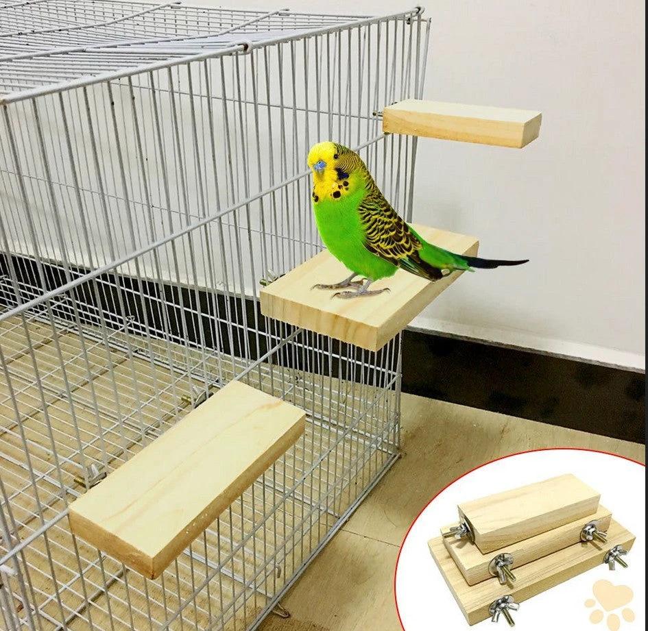 Perchoir en bois multifonction pour oiseaux et rongeurs