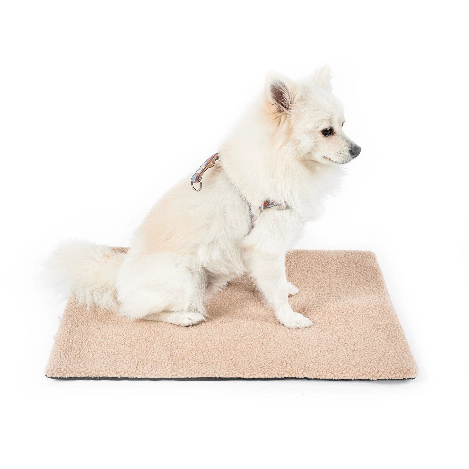 Tapis chauffant auto-réchauffant pour chat ou chien – Confort intérieur