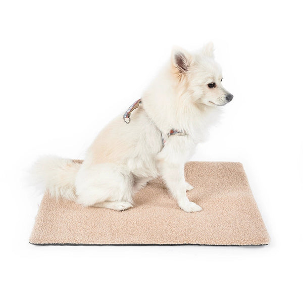 Tapis chauffant auto-réchauffant pour chat ou chien – Confort intérieur