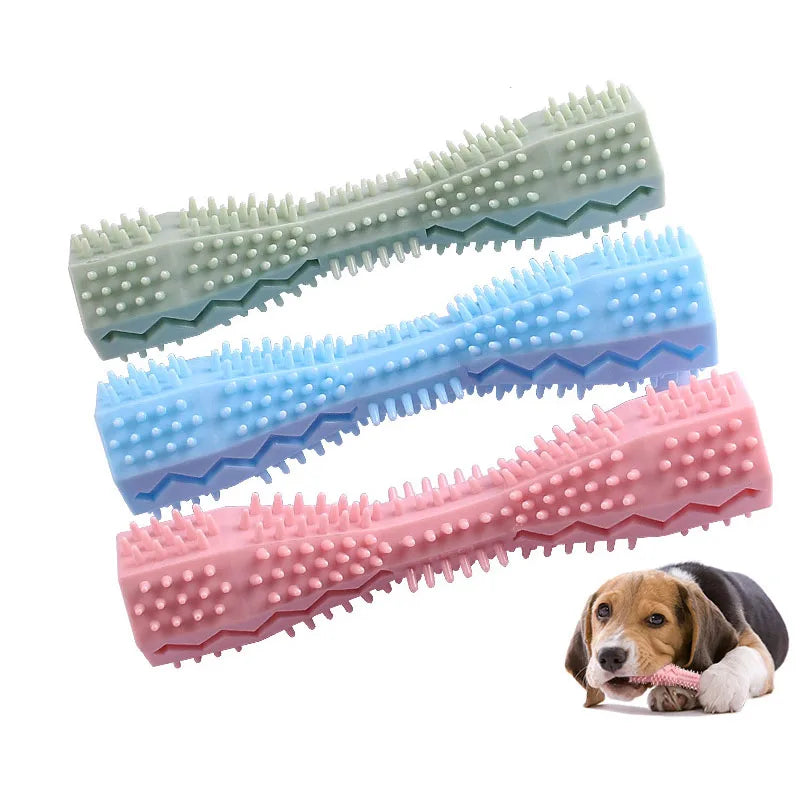 Jouet brosse à dents pour chien – Bâton à mâcher en caoutchouc