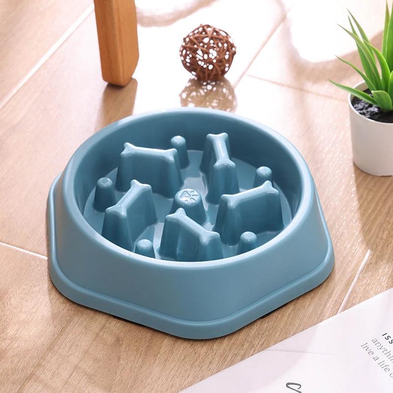 Bol anti-glouton pour chiens et chats – Alimentation lente