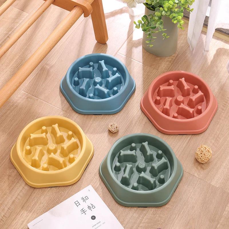 Bol anti-glouton pour chiens et chats – Alimentation lente