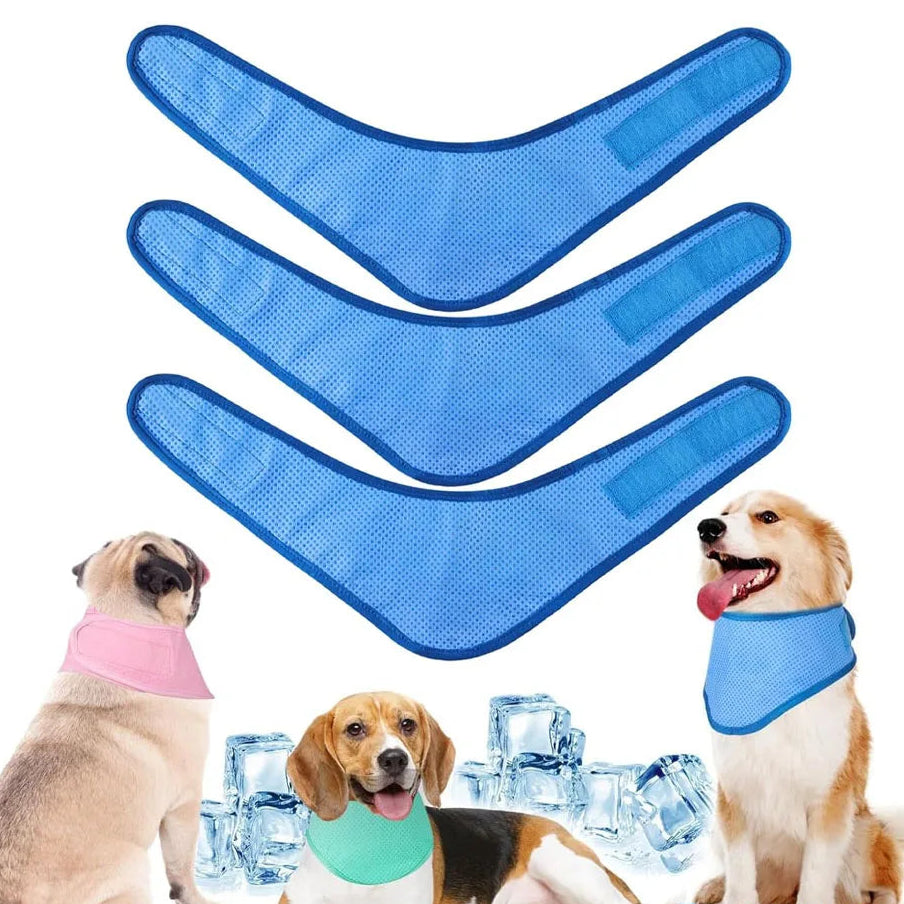 Foulard rafraîchissant pour chien – Taille S, M ou L