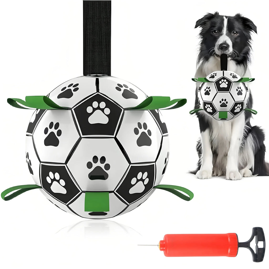 Balle de foot interactive pour chien – Avec anneau de préhension