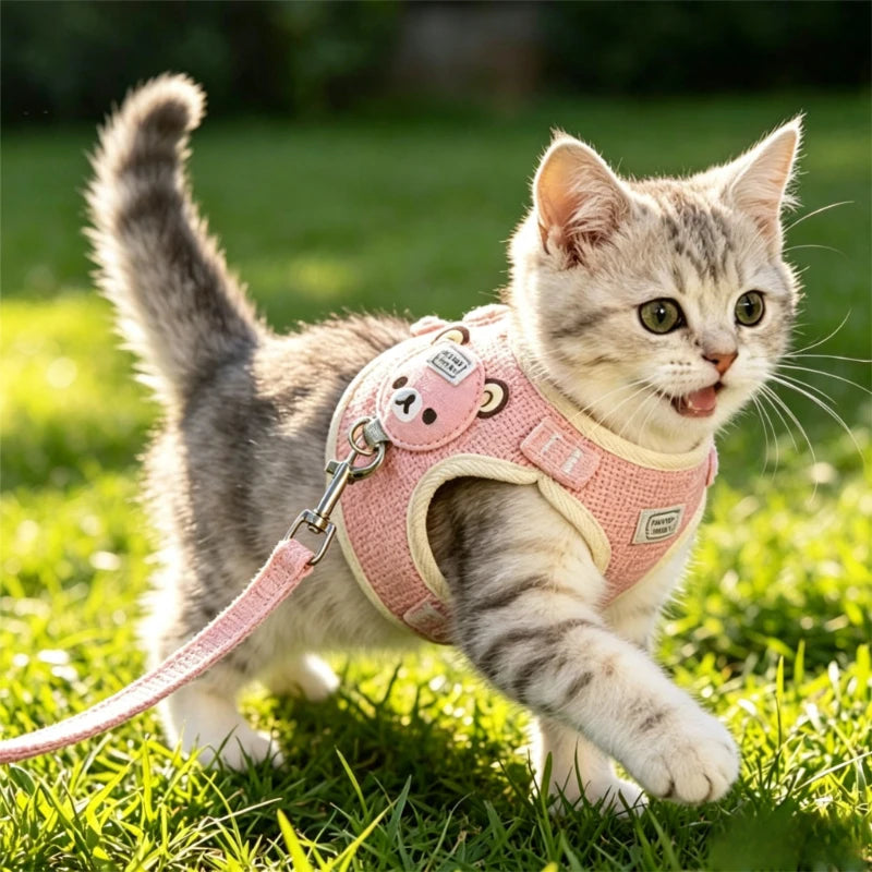 Harnais veste et laisse pour chat et petit chien