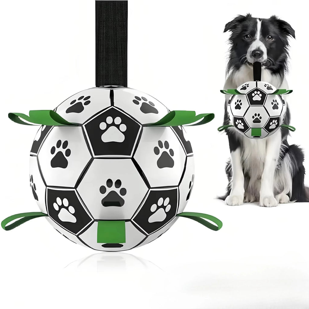 Balle de foot interactive pour chien – Avec anneau de préhension