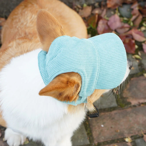 Casquette baseball pour chien en velours côtelé – Réglable