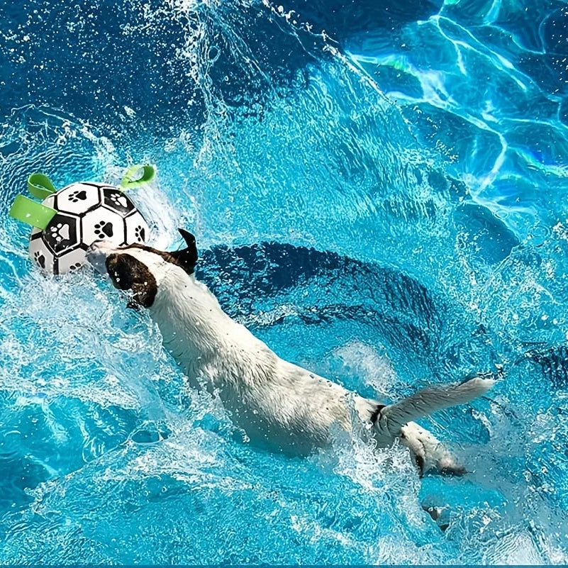 Balle de foot interactive pour chien – Avec anneau de préhension