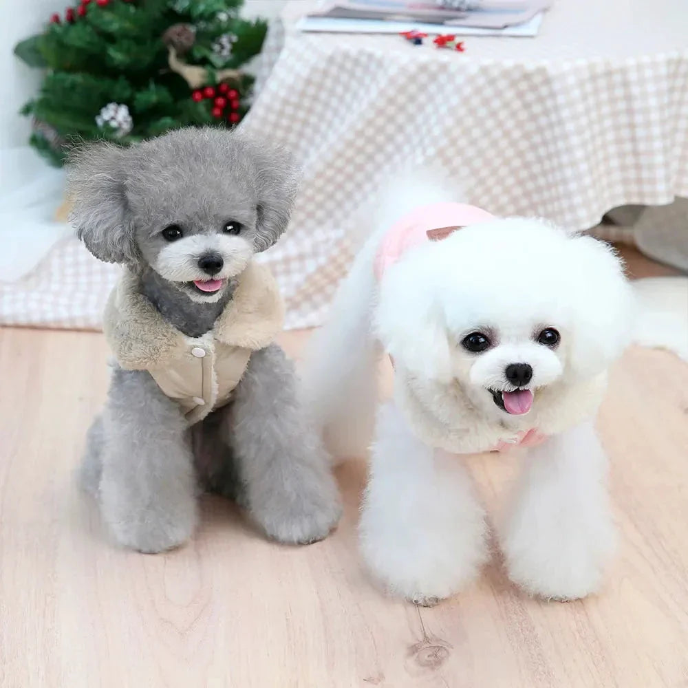 Veste d’hiver pour petit chien – Col fourrure synthétique