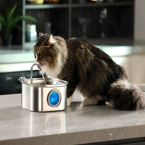 Distributeur automatique chat avec fontaine inox