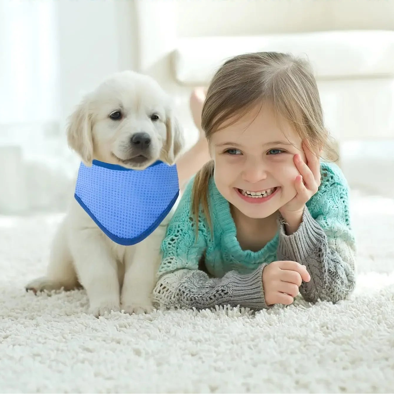 Foulard rafraîchissant pour chien – Taille S, M ou L
