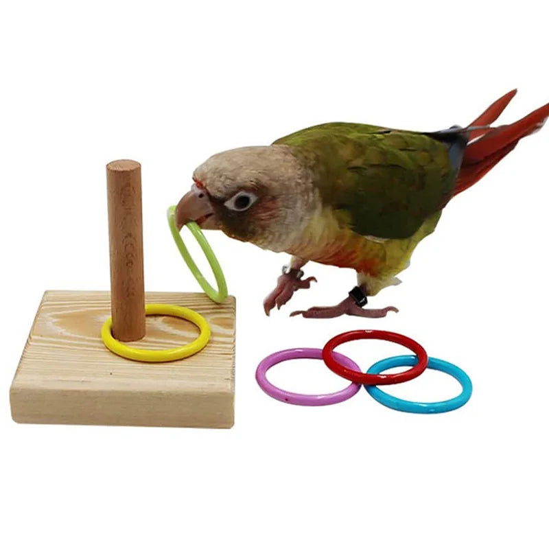 Bird Training Toys Set Wooden Block Puzzle Toys For Parrots Colorful Plastic Rings Intelligence Training… – vue 2 | MonPluto