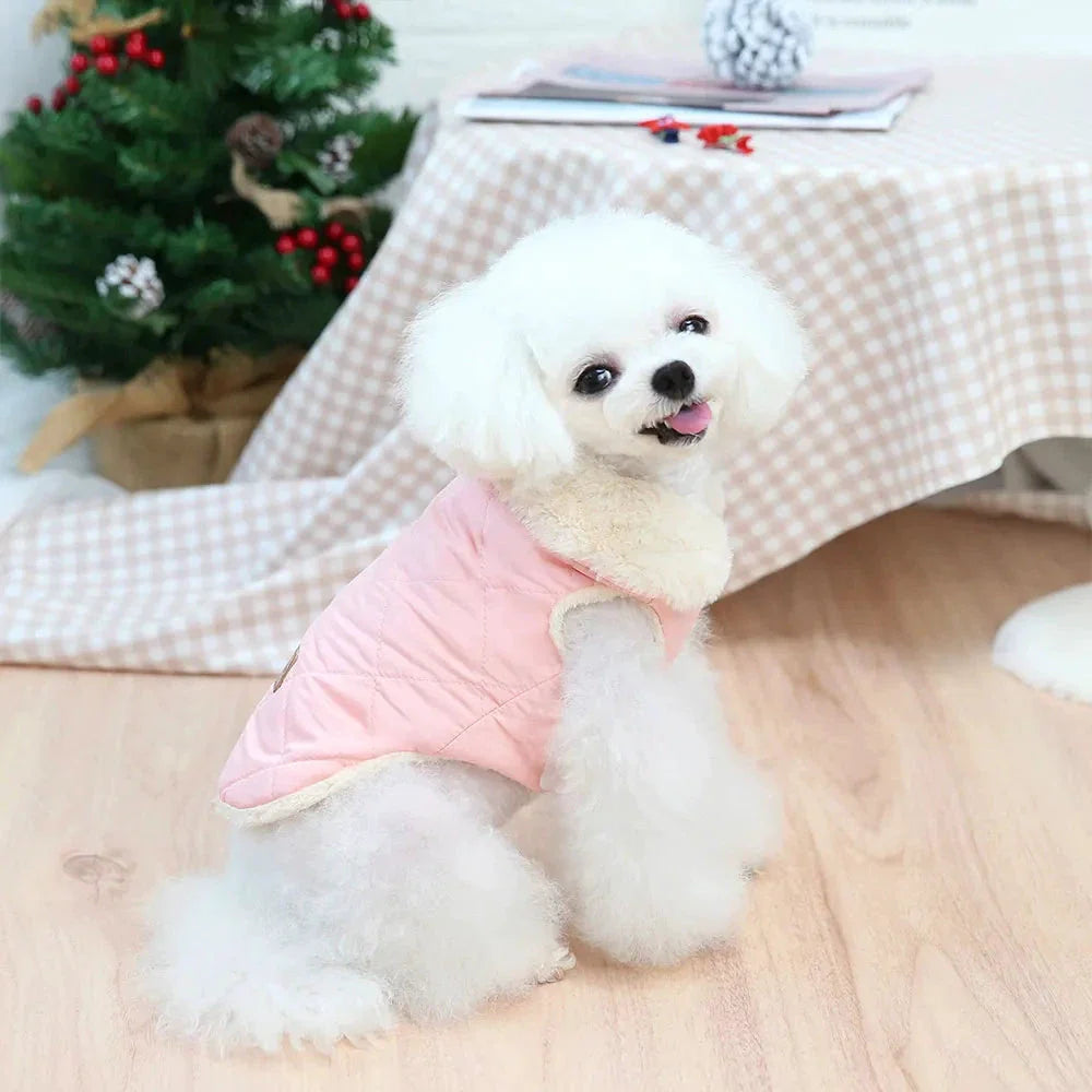 Veste d’hiver pour petit chien – Col fourrure synthétique