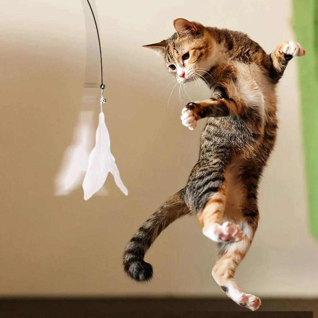 Jouet interactif pour chat – Baguette plume et clochette
