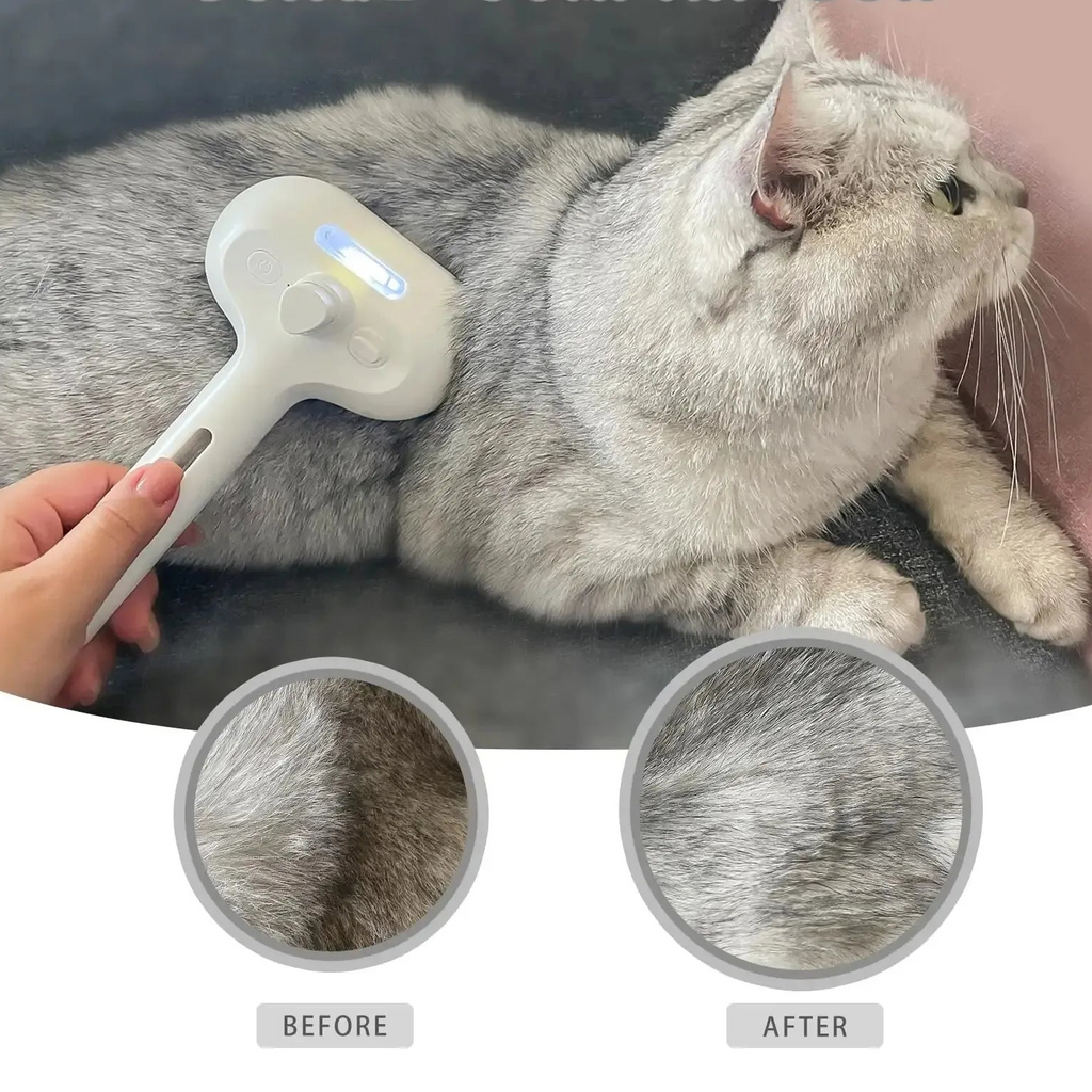 Brosse électrique 3-en-1 à vapeur pour chien et chat – Massage et démêlage