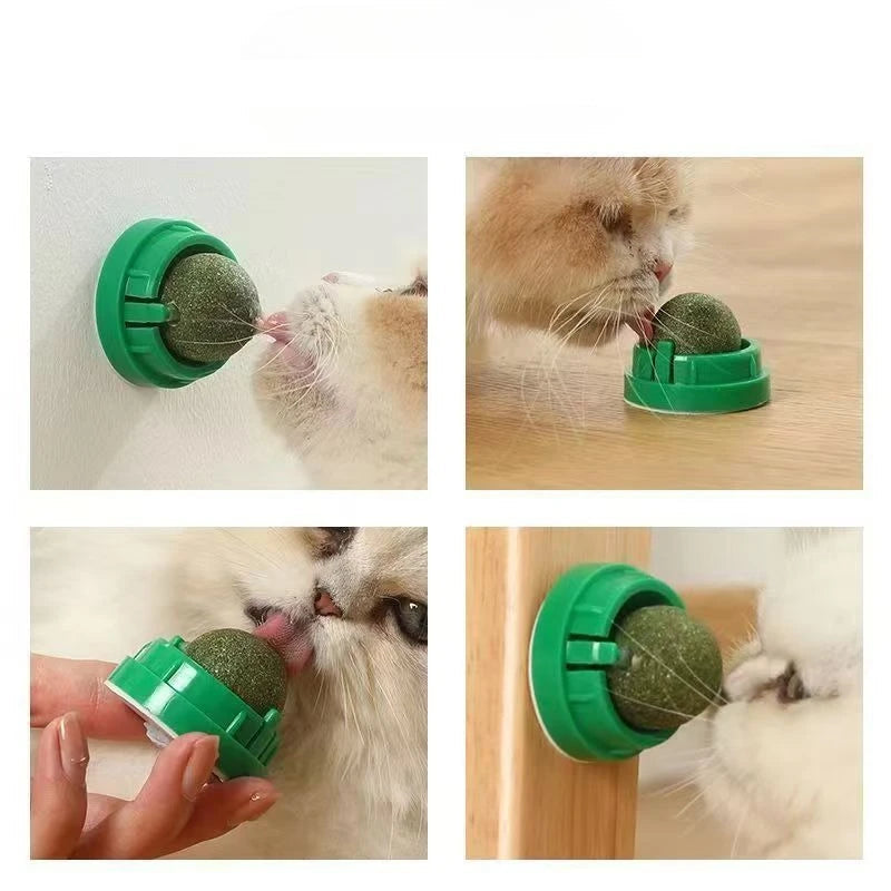 Rotierendes Katzenminze-Spielzeug für Katzen – Kaustab zur Wandmontage