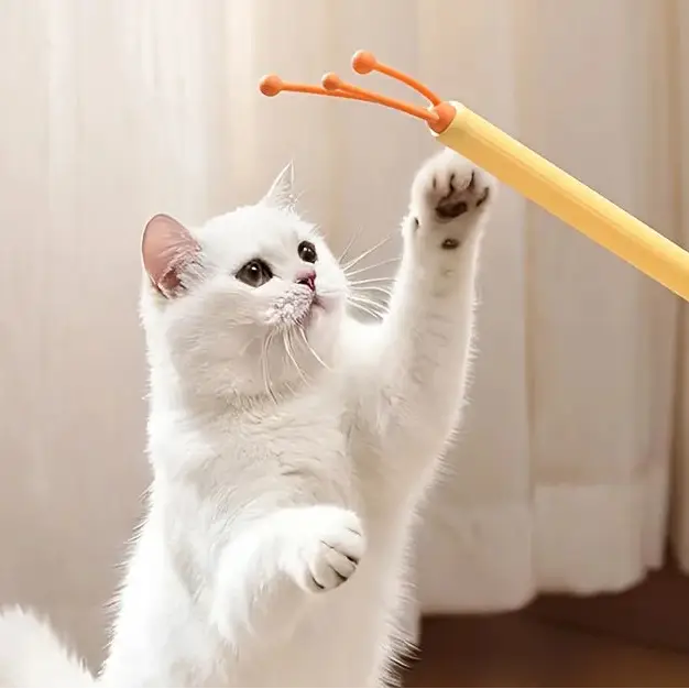 Grattoir rétractable et masseur double face pour chat