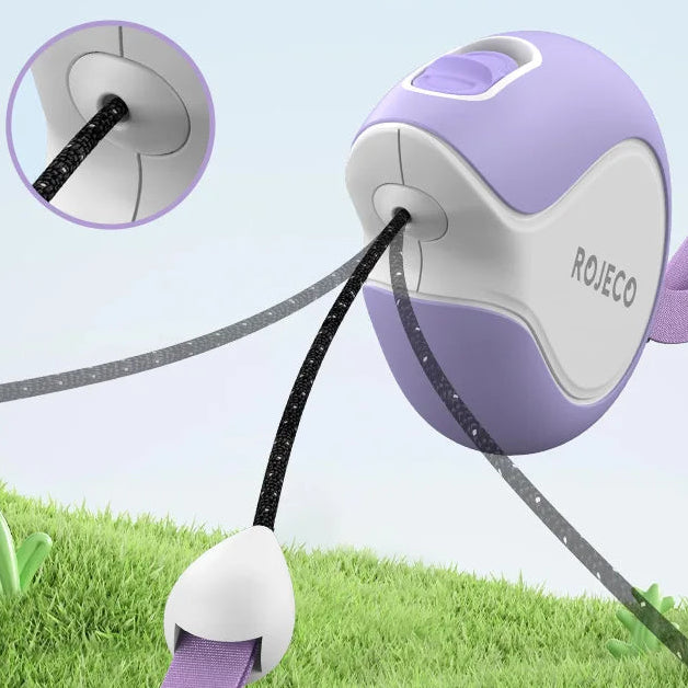 ROJECO Mini Automatic Retractable Dog Leash 3M Extendable Rope For Outdoor Travel Walking Hiking Pet Cat Dogs Traction…