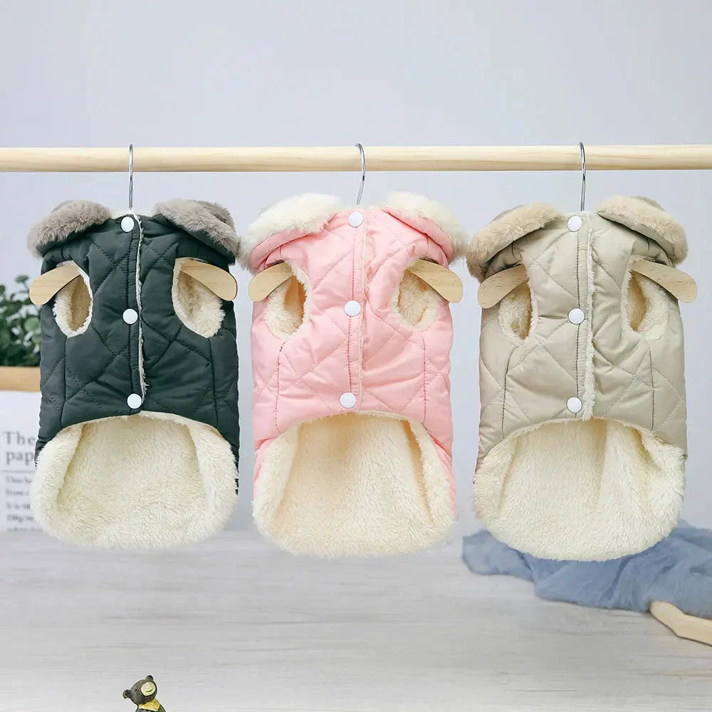 Veste d’hiver pour petit chien – Col fourrure synthétique