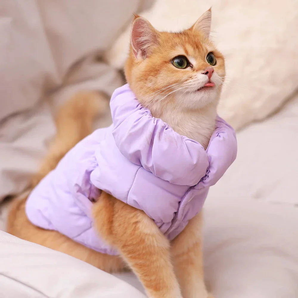Veste Hiver Pour Chien Rembourrée Bleu Clair Taille S À XL