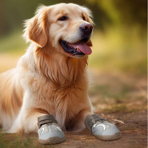 Chaussures respirantes pour chien semelle TPR flexible – 4 pièces