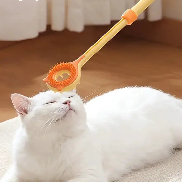 Grattoir rétractable et masseur double face pour chat