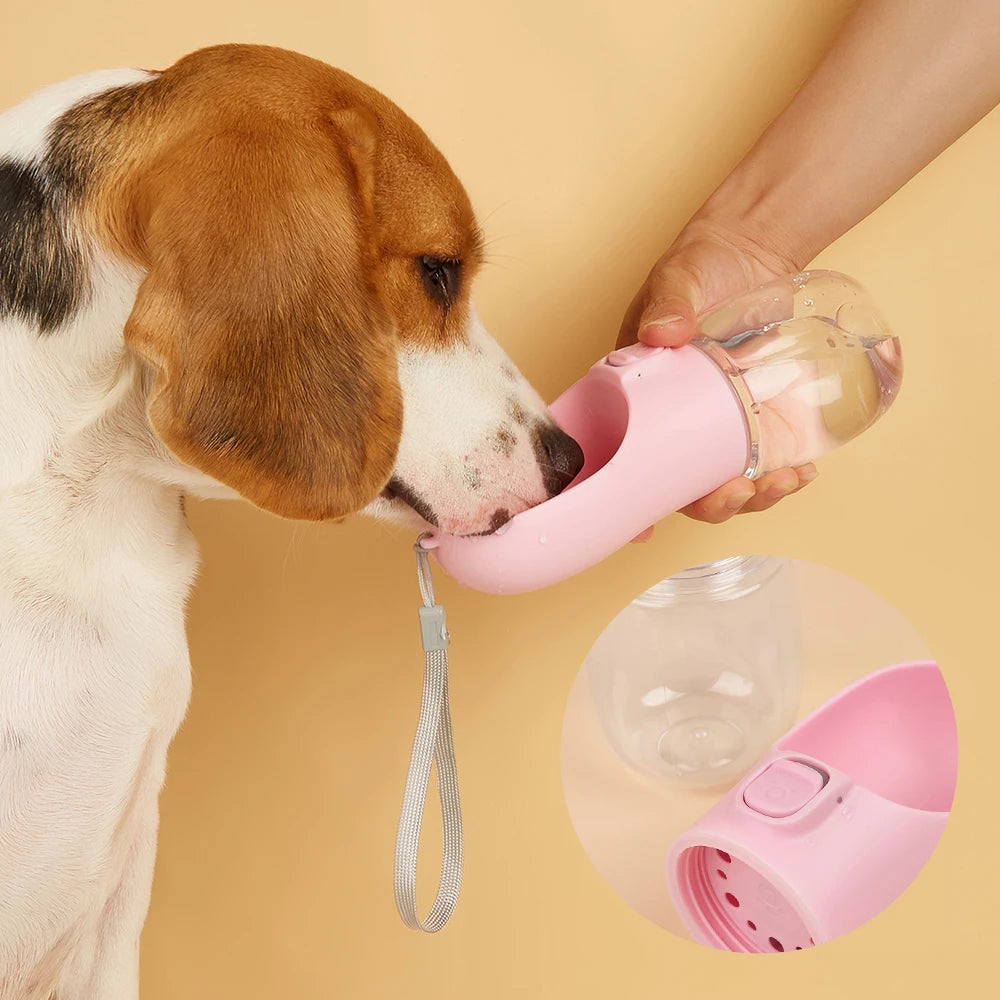 Gourde nomade pour chien – Anti-fuite, balades et voyages