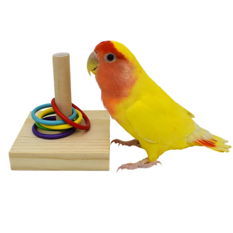 Bird Training Toys Set Wooden Block Puzzle Toys For Parrots Colorful Plastic Rings Intelligence Training… – vue 3 | MonPluto
