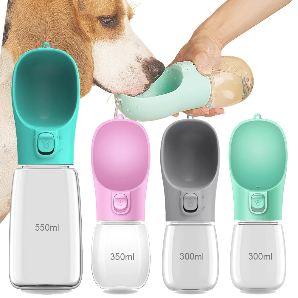 Gourde nomade pour chien – Anti-fuite, balades et voyages