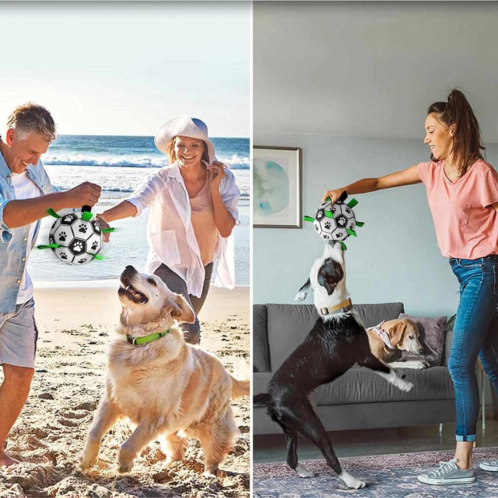 Balle de foot interactive pour chien – Avec anneau de préhension