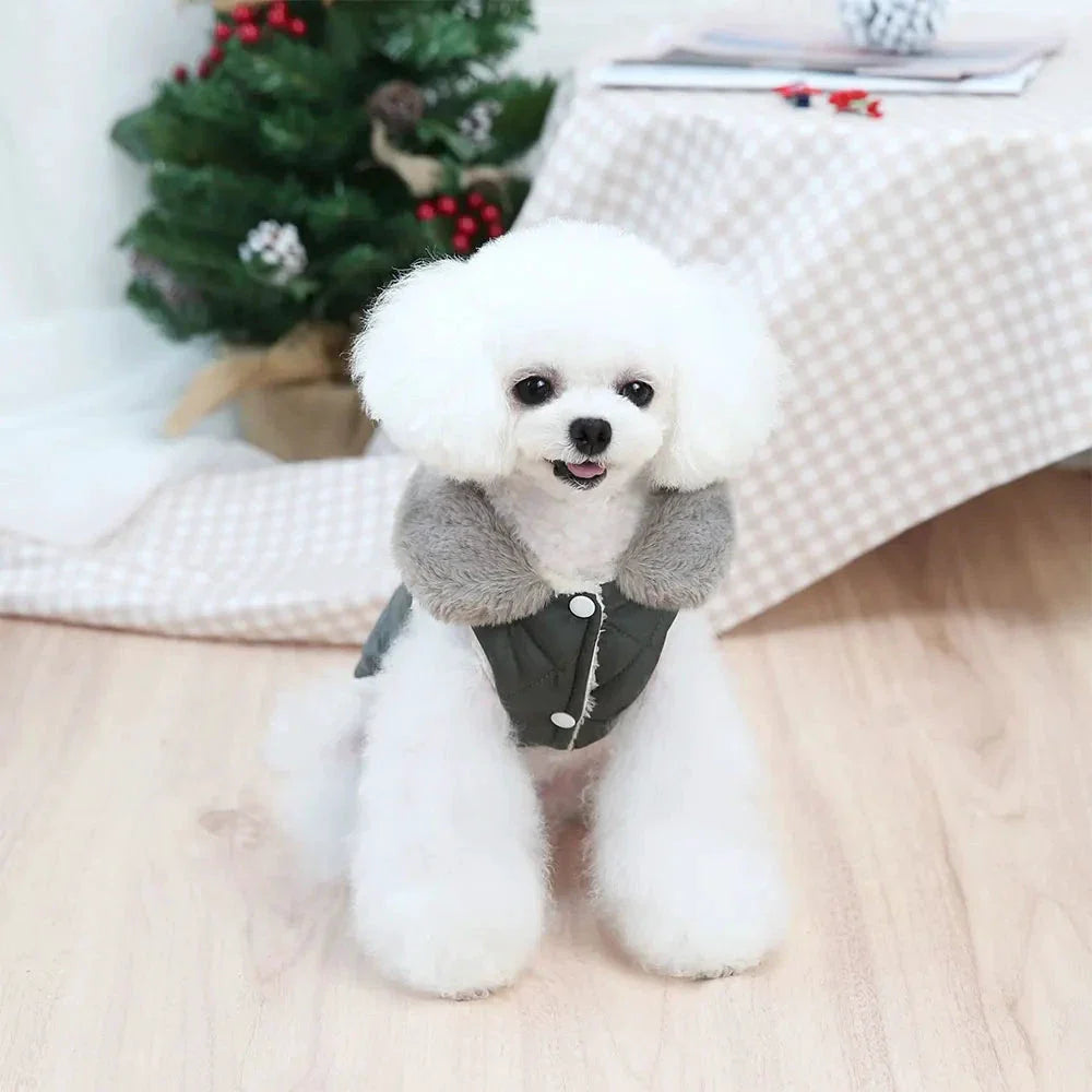 Veste d’hiver pour petit chien – Col fourrure synthétique