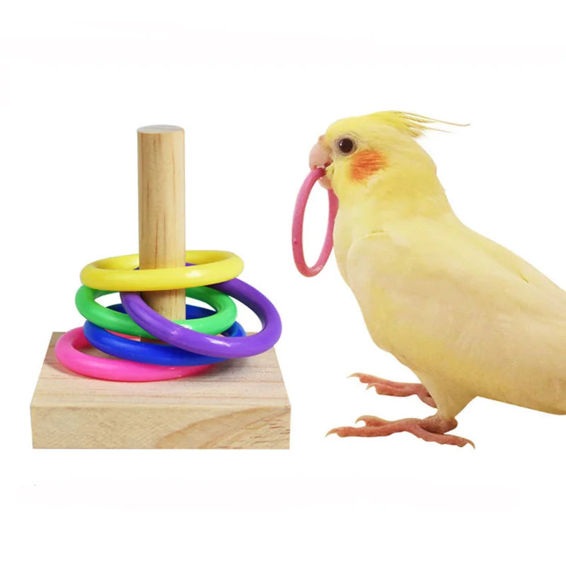 Bird Training Toys Set Wooden Block Puzzle Toys For Parrots Colorful Plastic Rings Intelligence Training Chew… | MonPluto