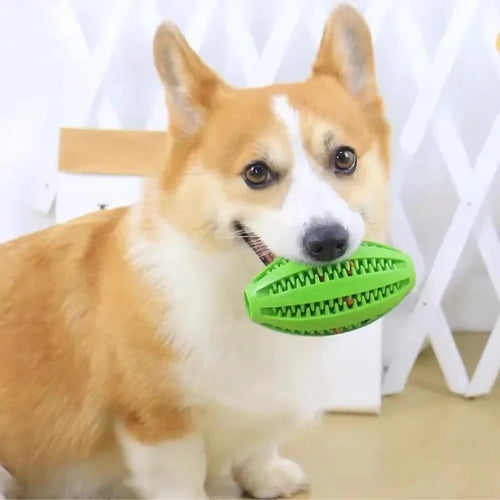 Balle à friandises pour chien – Caoutchouc rainuré – vue 2 | MonPluto