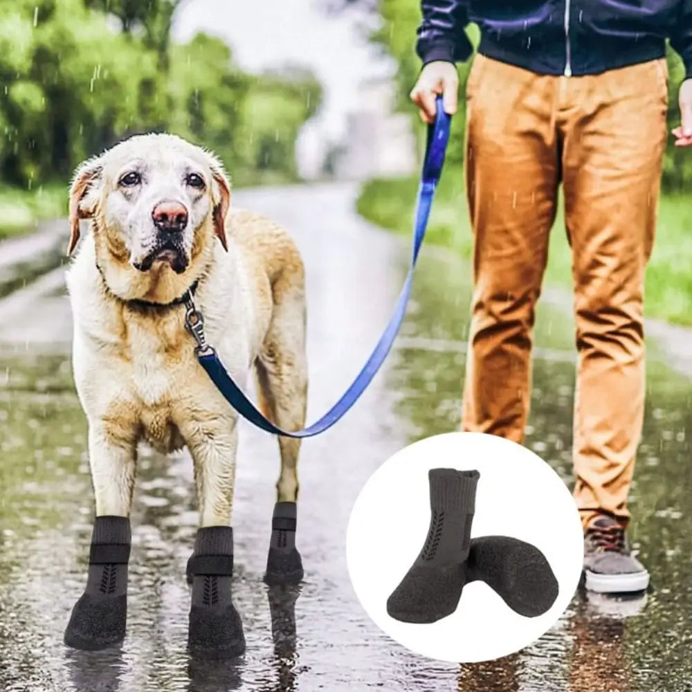 Chaussures pour chien – Lot de 4, semelle antidérapante – vue 3 | MonPluto