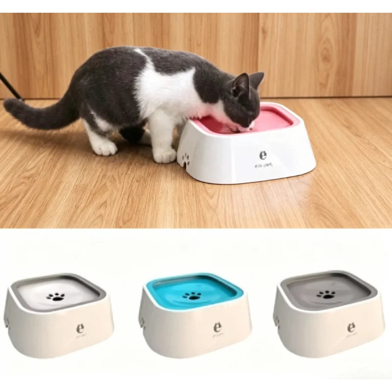 Gamelle à eau anti-éclaboussure – Chien et chat | MonPluto