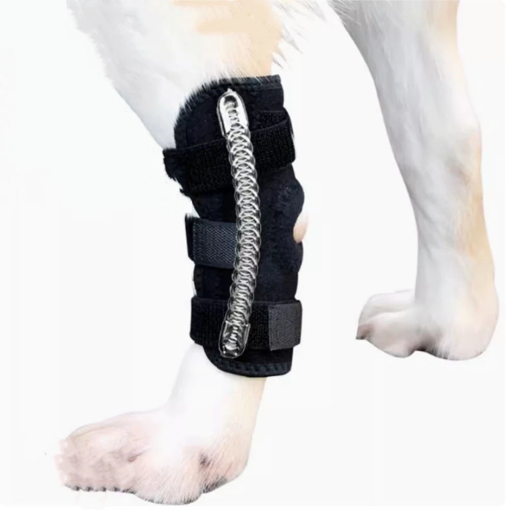 Genouillère de maintien pour chien – Patte arrière – vue 10 | MonPluto