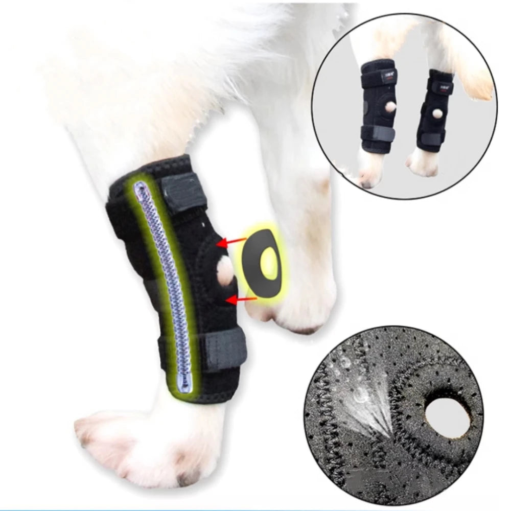 Genouillère de maintien pour chien – Patte arrière – vue 2 | MonPluto