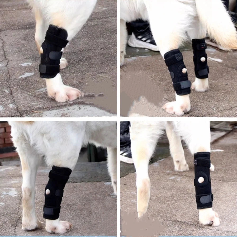 Genouillère de maintien pour chien – Patte arrière – vue 5 | MonPluto