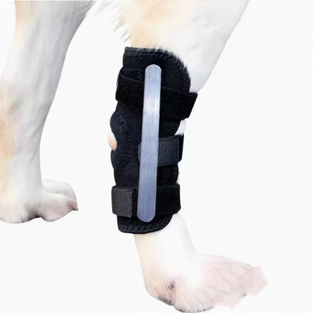 Genouillère de maintien pour chien – Patte arrière – vue 7 | MonPluto