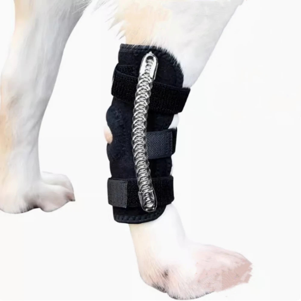 Genouillère de maintien pour chien – Patte arrière – vue 8 | MonPluto