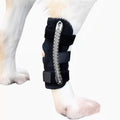 Genouillère de maintien pour chien – Patte arrière – vue 8 | MonPluto